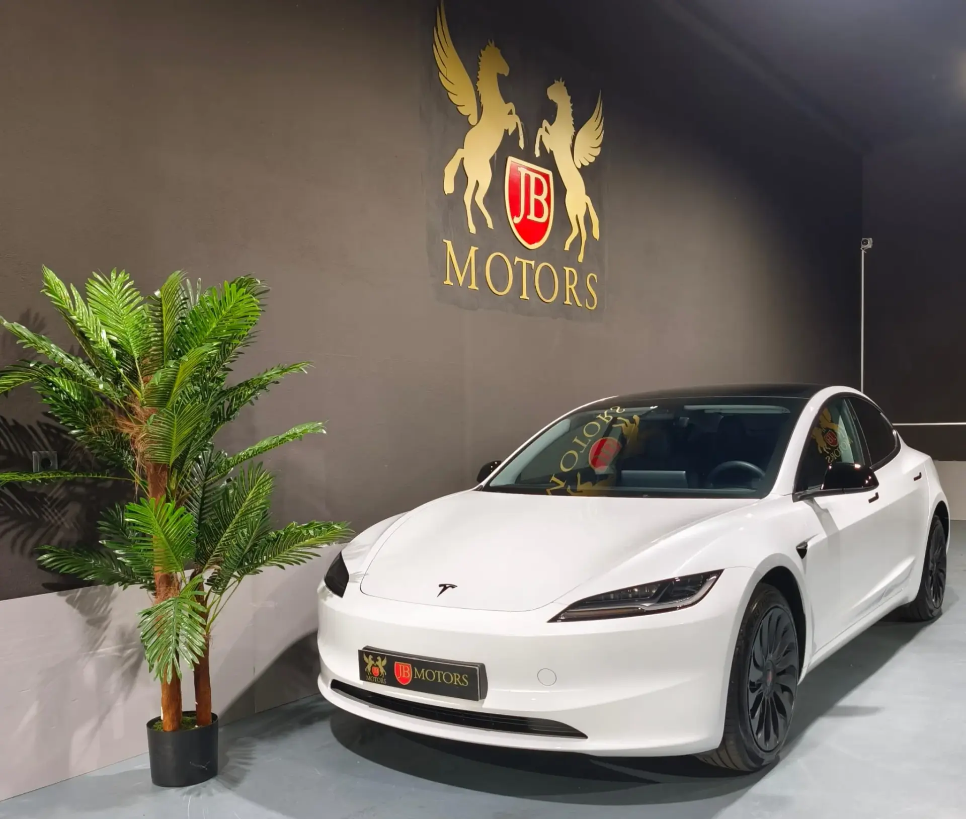 Tesla Model 3 Tração Traseira Premium 1