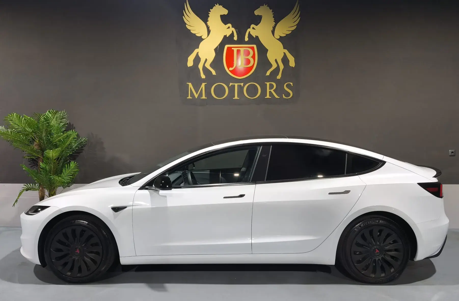 Tesla Model 3 Tração Traseira Premium 3