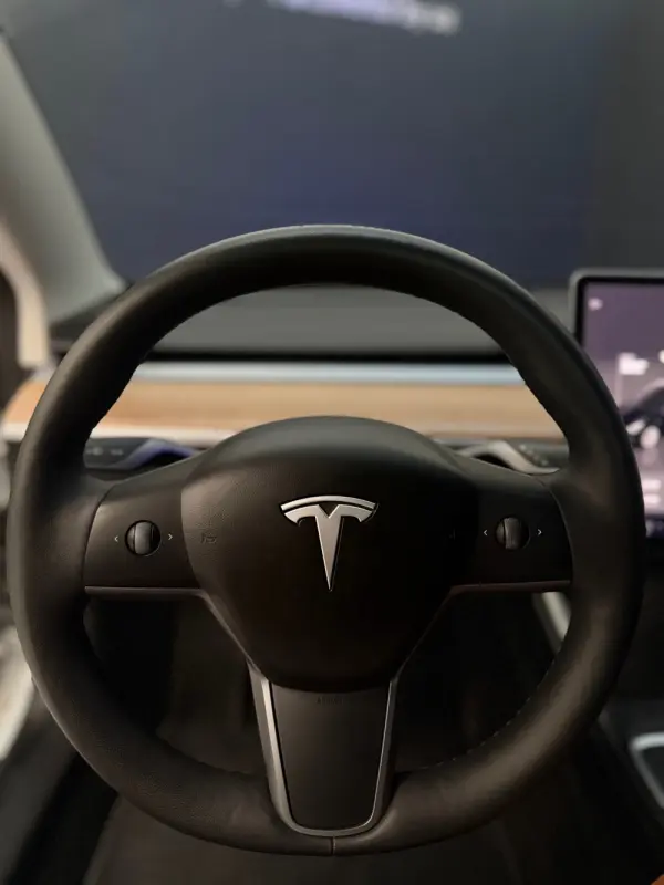 Tesla Model 3 Long Range Tração Integral 15