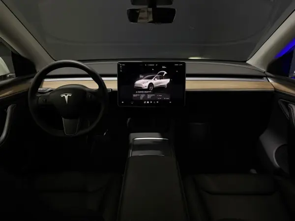 Tesla Model Y Long Range Dual Motor AWD 20