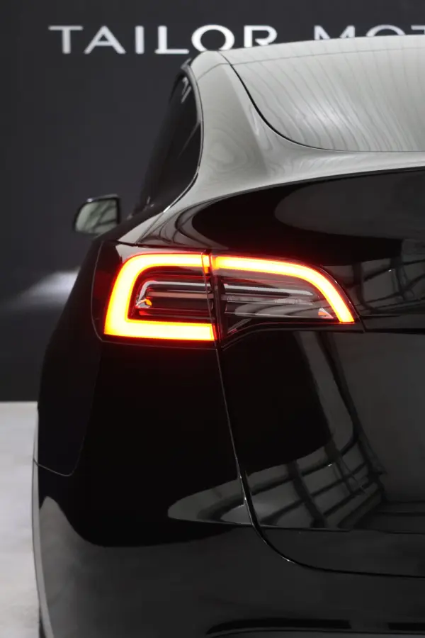 Tesla Model Y Long Range Dual Motor AWD 17