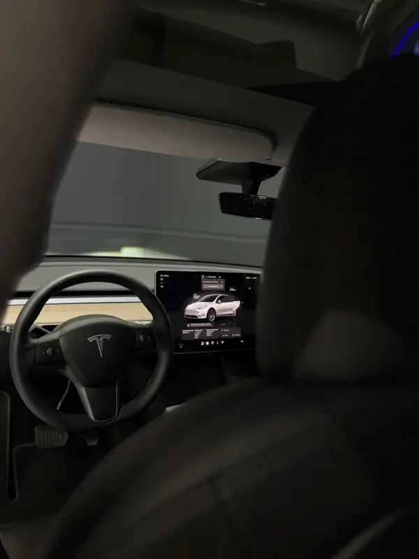 Tesla Model Y Long Range Dual Motor AWD 19