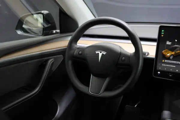 Tesla Model Y Long Range Dual Motor AWD 23