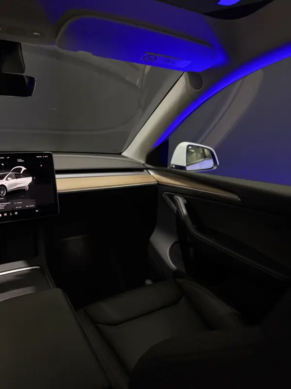 Tesla Model Y Long Range Dual Motor AWD 21