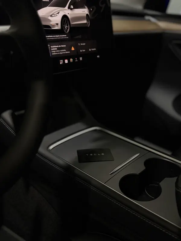 Tesla Model Y Long Range Dual Motor AWD 43