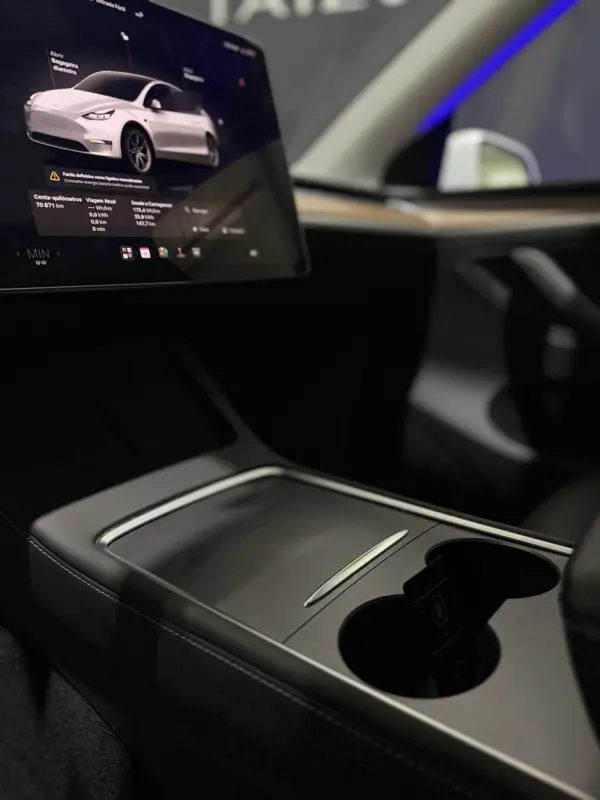 Tesla Model Y Long Range Dual Motor AWD 17