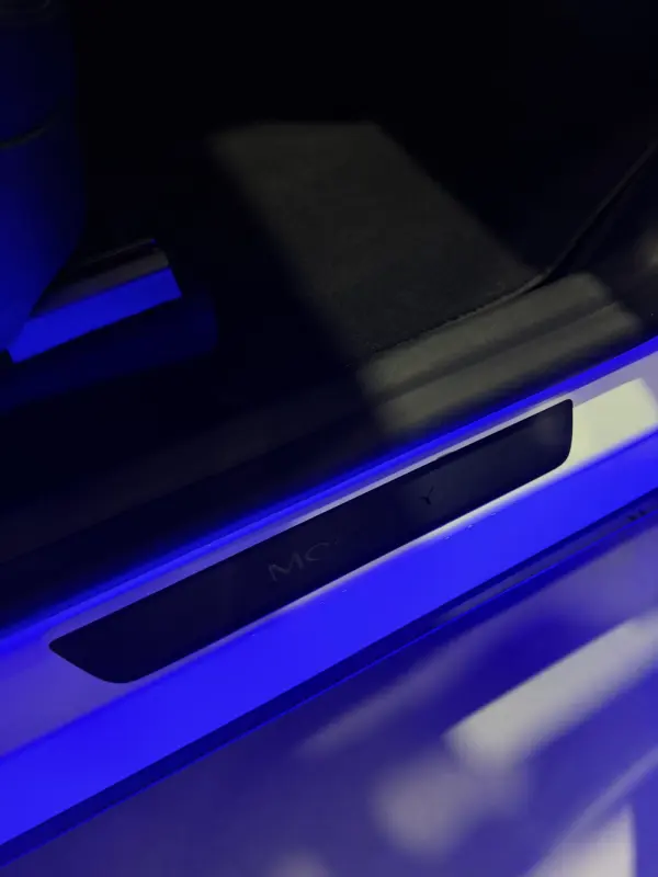 Tesla Model Y Long Range Dual Motor AWD 23