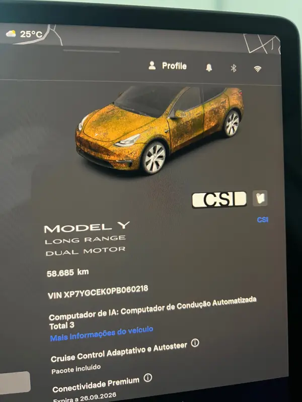 Tesla Model Y Long Range Dual Motor AWD 33