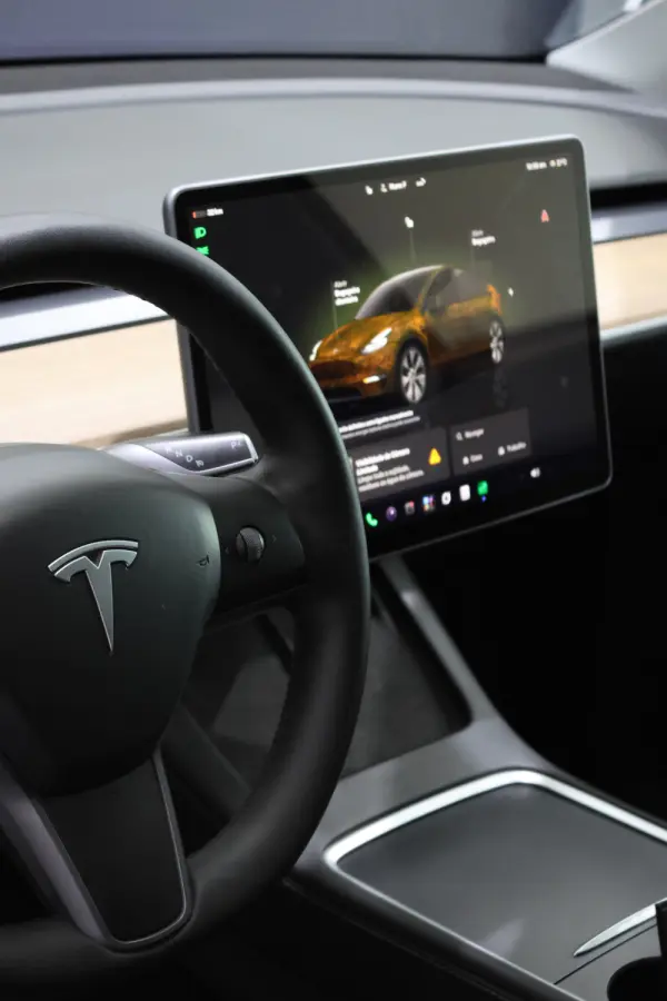 Tesla Model Y Long Range Dual Motor AWD 15
