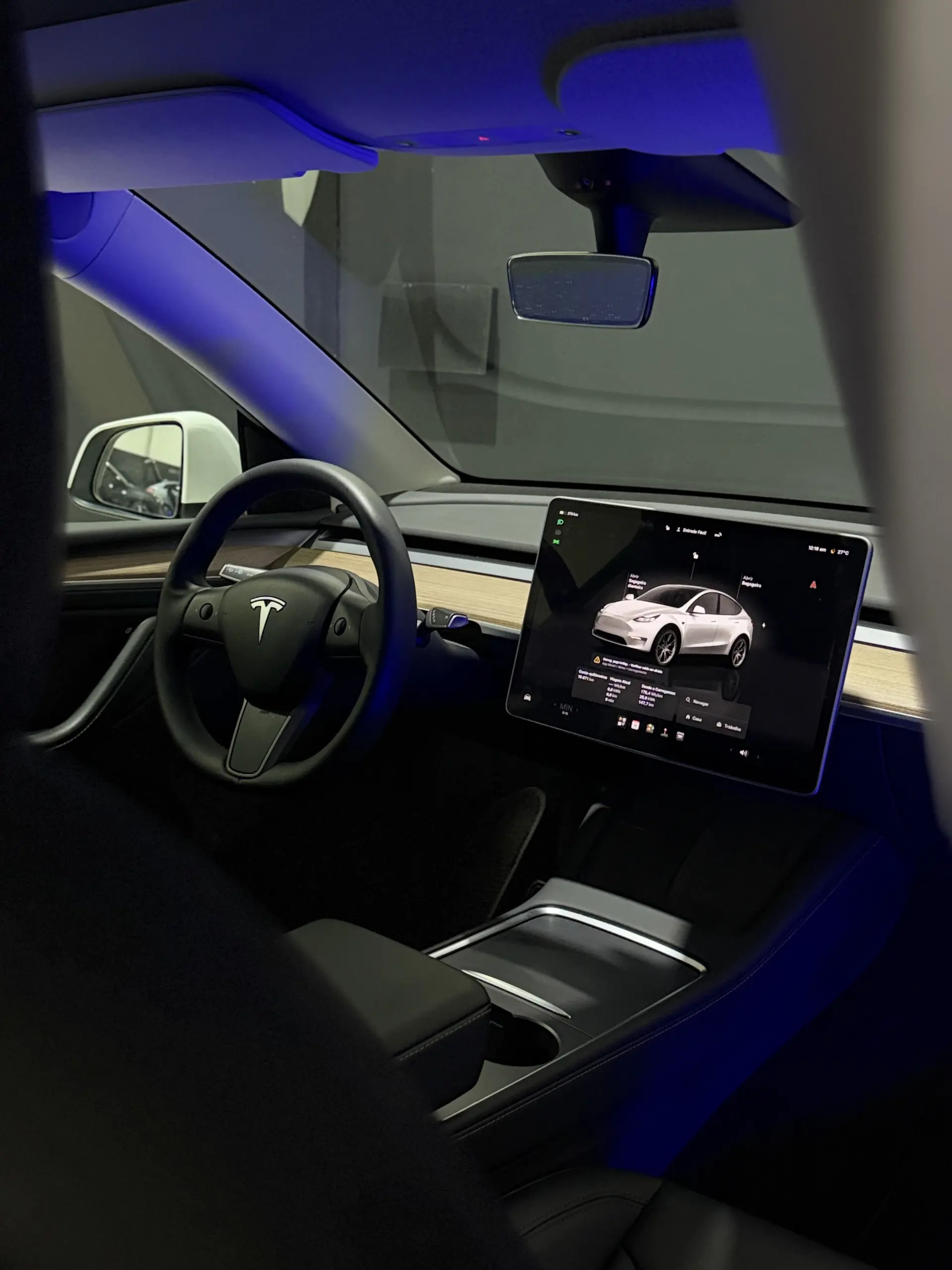 Tesla Model Y Long Range Dual Motor AWD 24