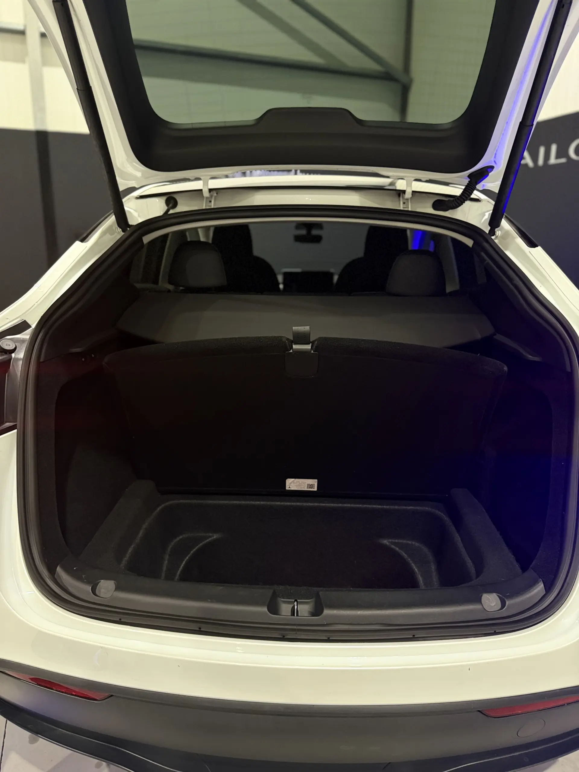 Tesla Model Y Long Range Dual Motor AWD 34