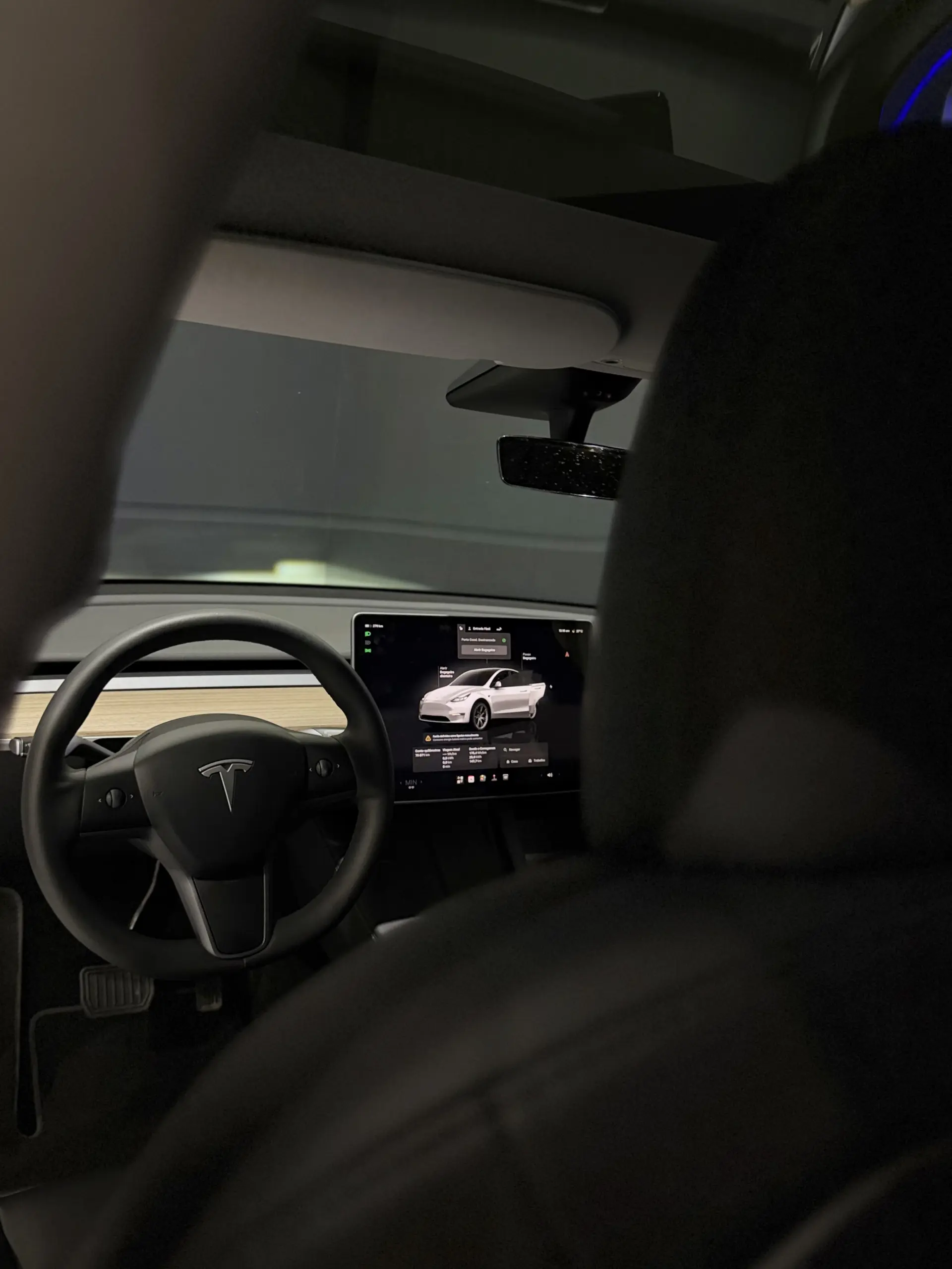 Tesla Model Y Long Range Dual Motor AWD 19