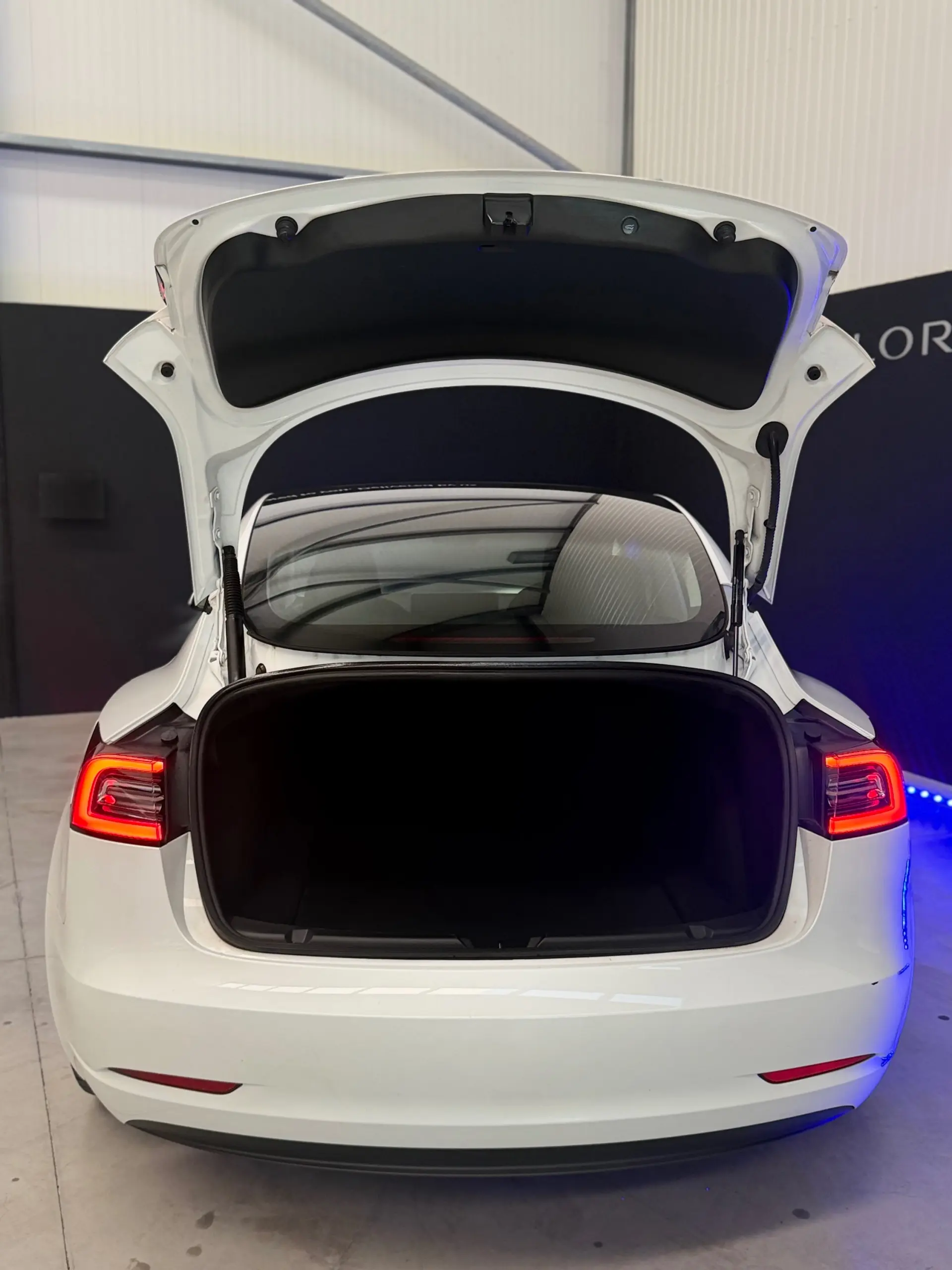 Tesla Model 3 Long Range Tração Integral 10