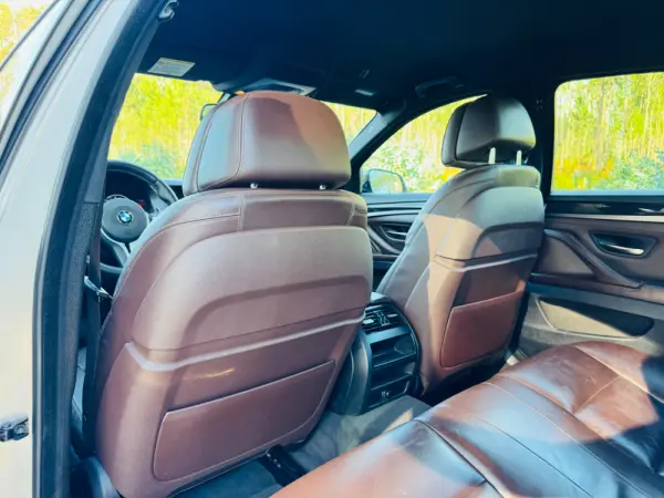 BMW 530 d Pack M Auto 51