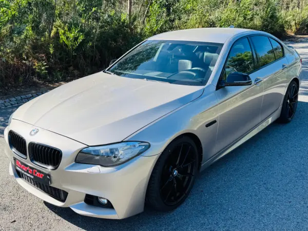 BMW 530 d Pack M Auto 2