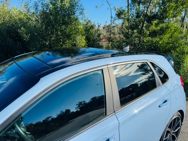 Hyundai i30 N 2.0 T-GDi Pack Performance 4