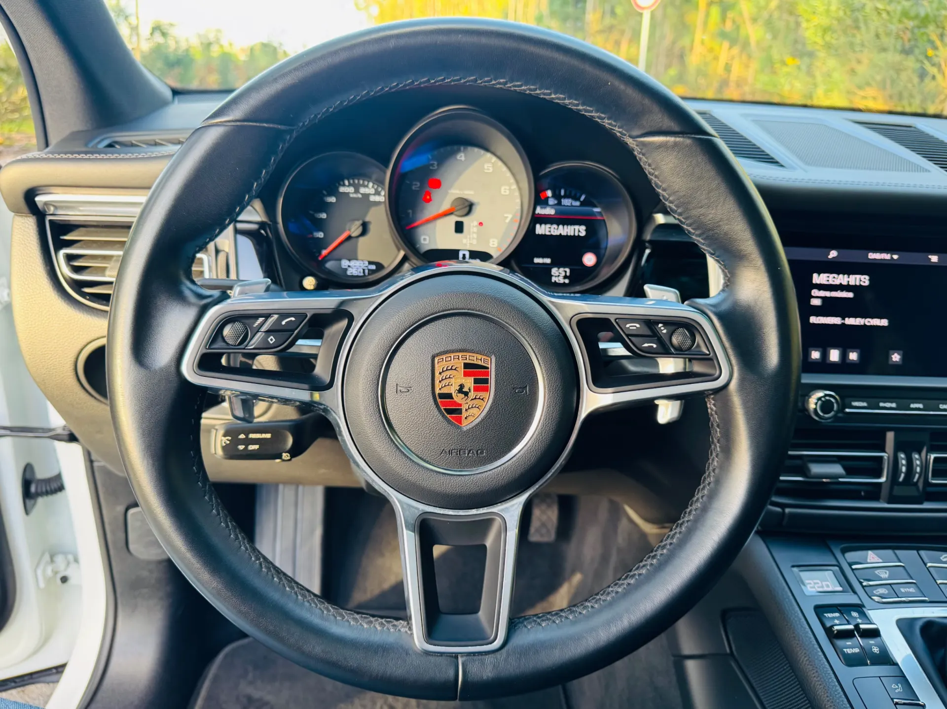 Porsche Macan S 33