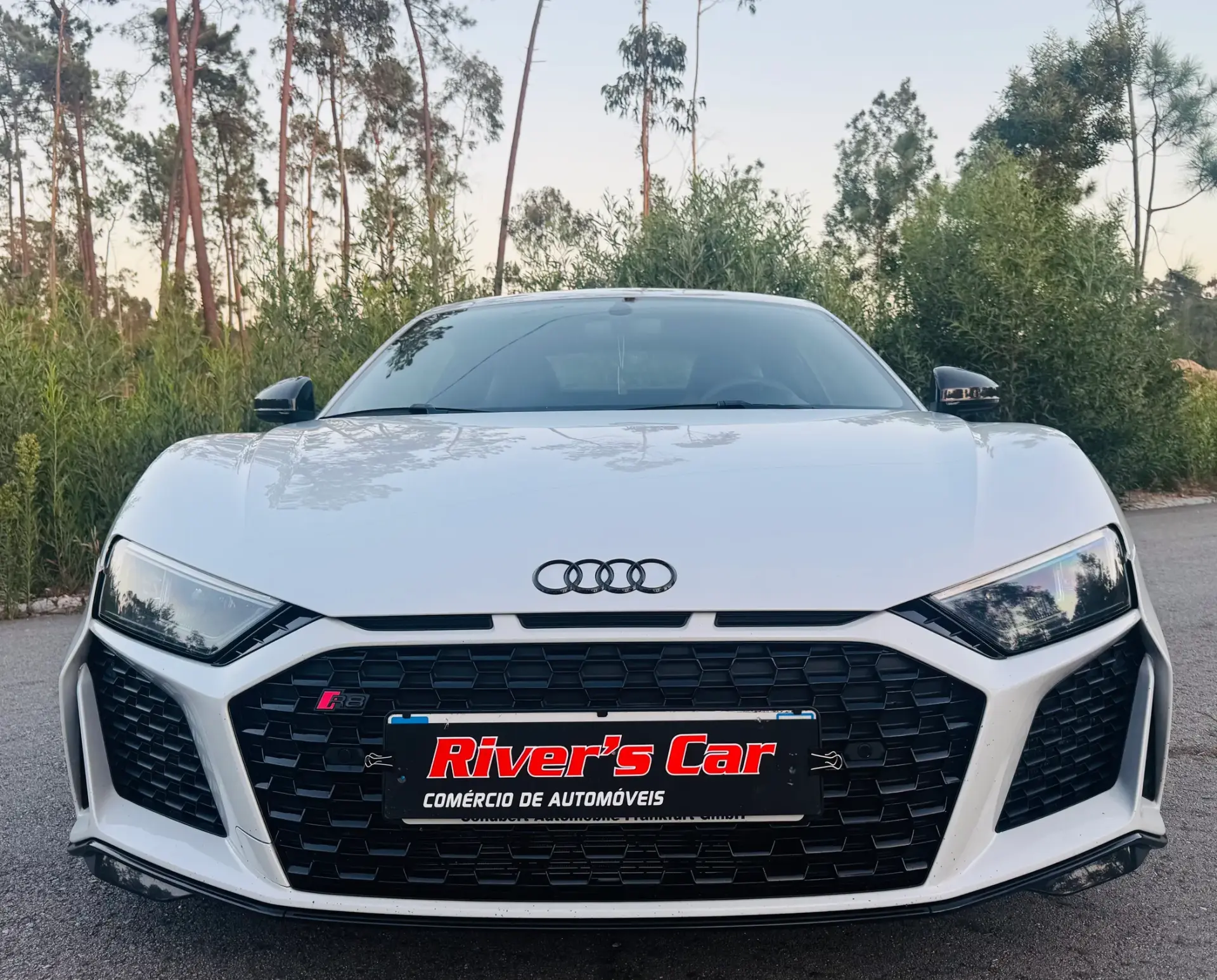 Audi R8 Coupé R8 V10 Performance DECENNIUM One Of 102/222 6