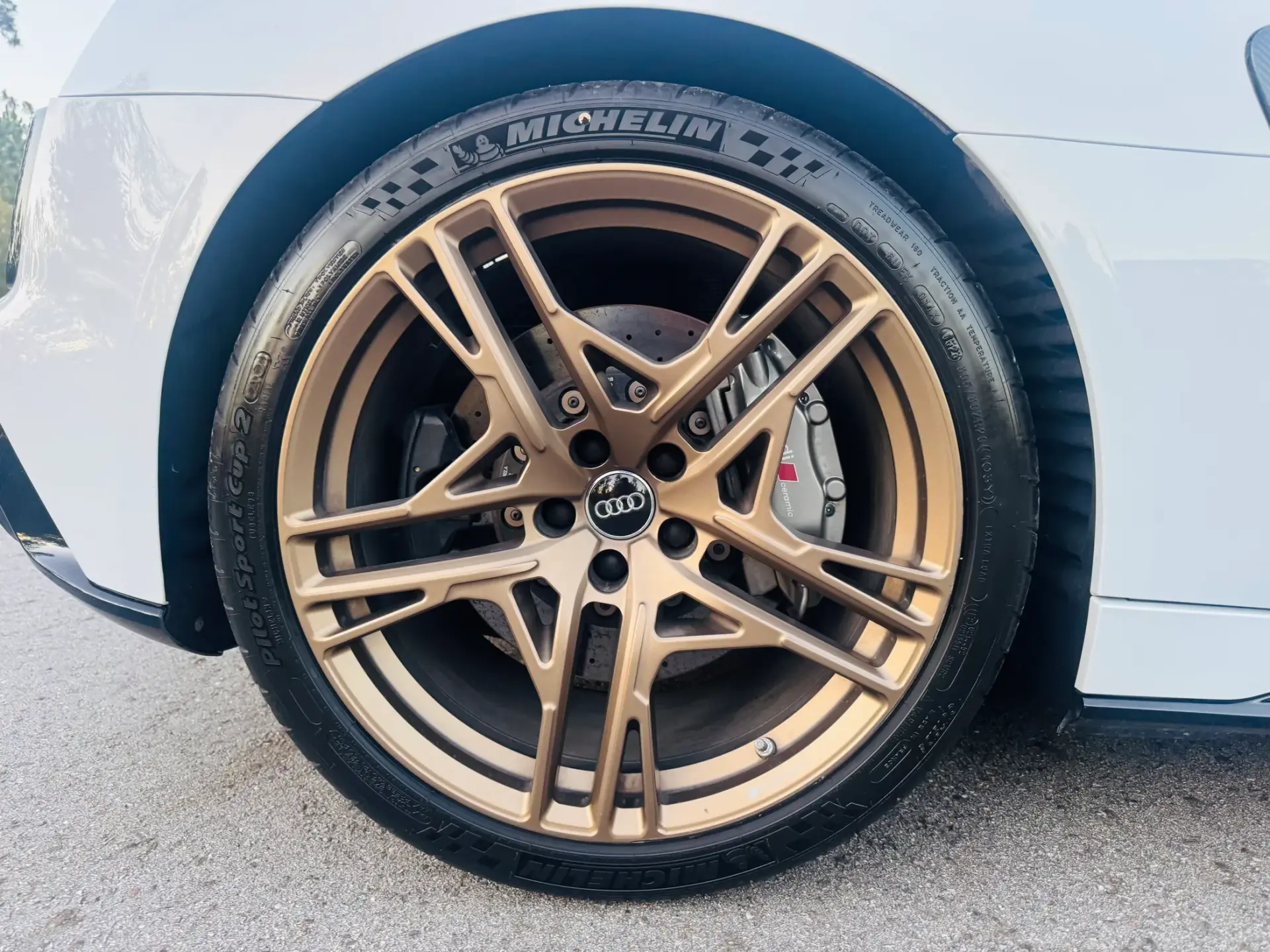 Audi R8 Coupé R8 V10 Performance DECENNIUM One Of 102/222 15