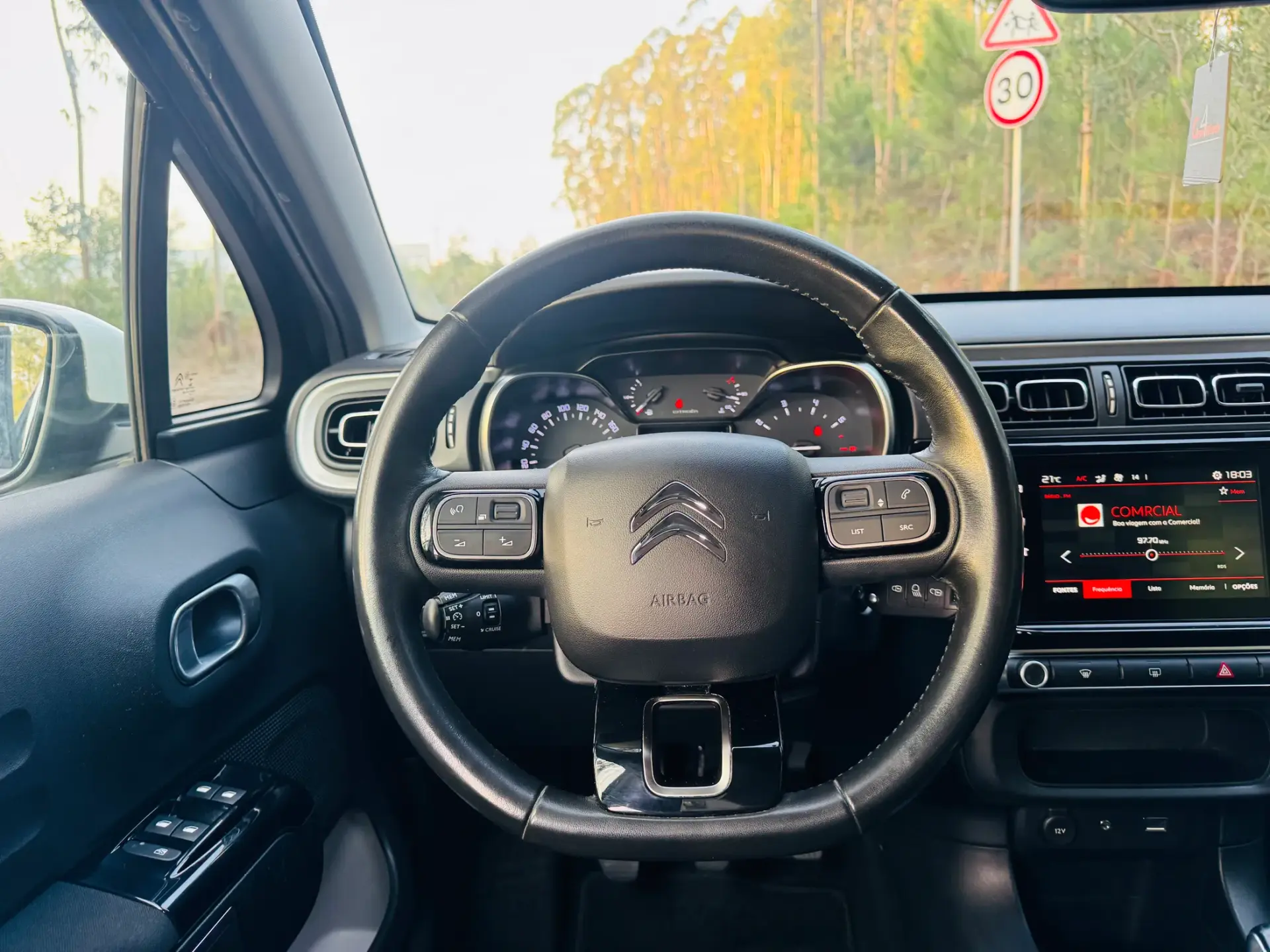 Citroën C3 1.2 PureTech Shine 29