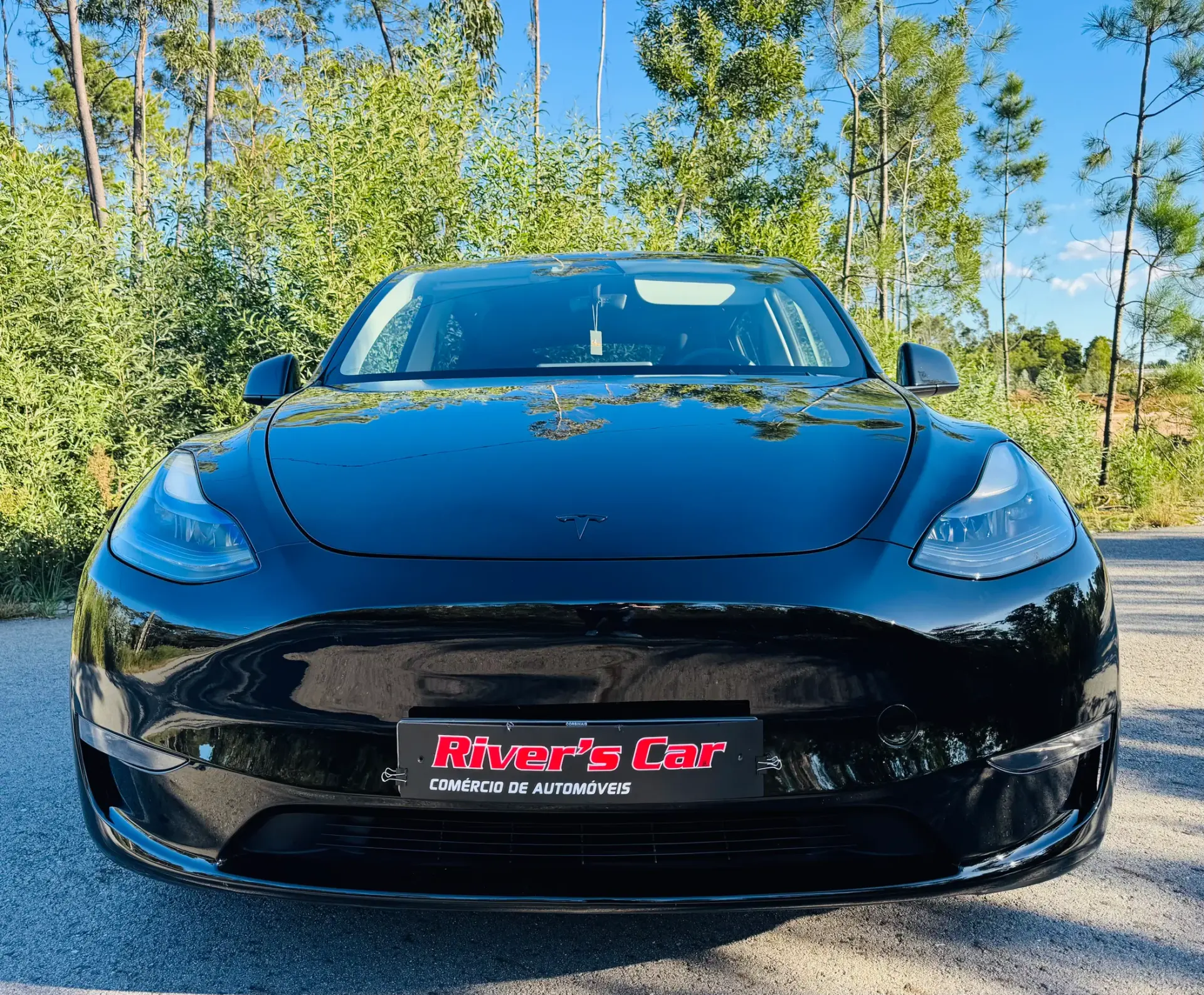 Tesla Model Y Performance Tração Integral 5