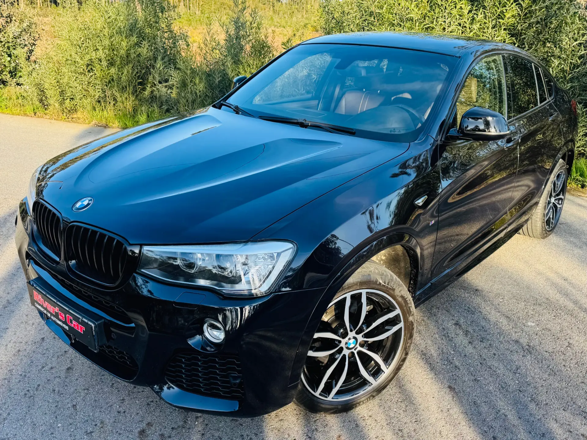 BMW X4 20 d xDrive xLine Pack M Auto 2