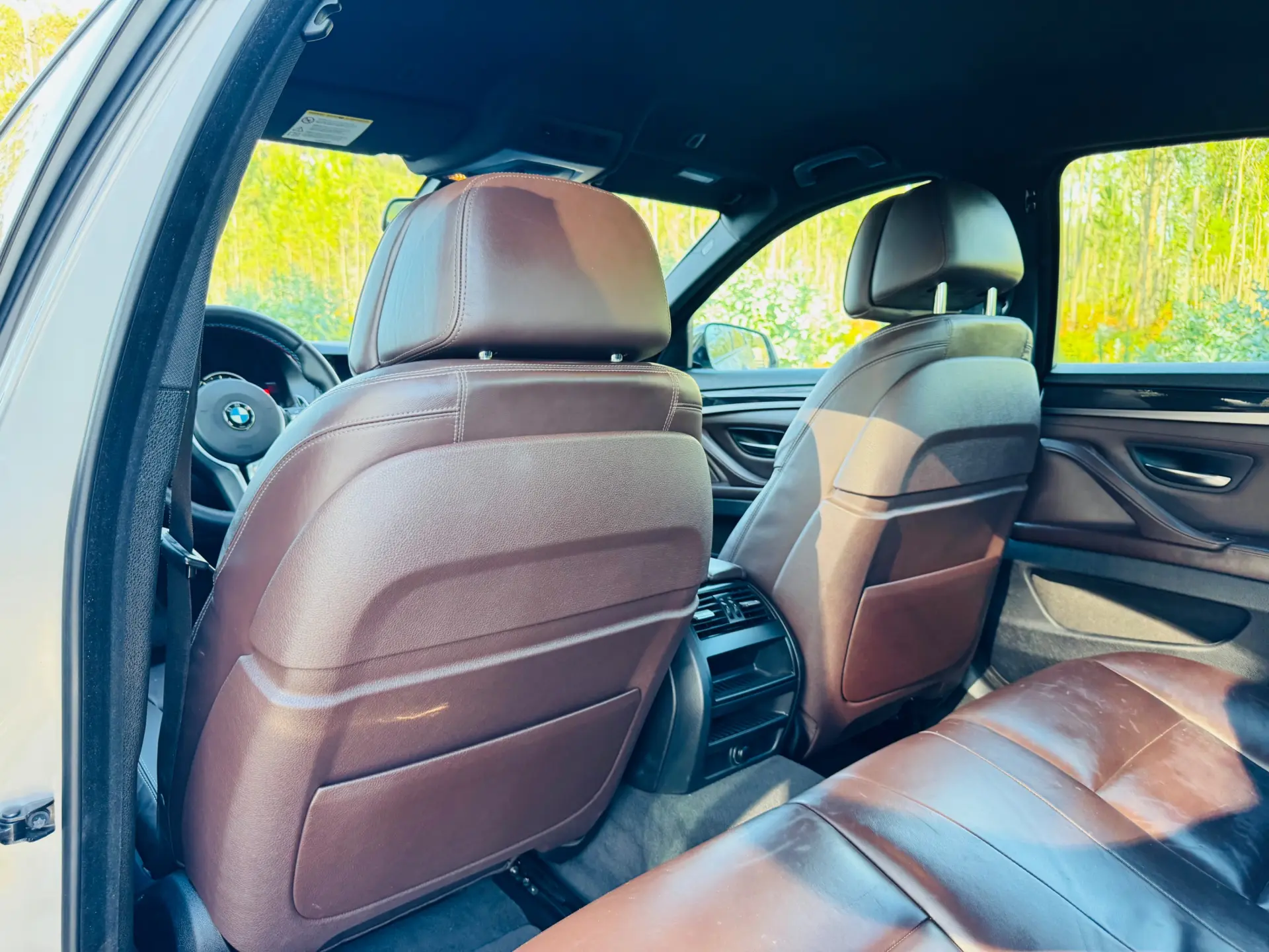 BMW 530 d Pack M Auto 51