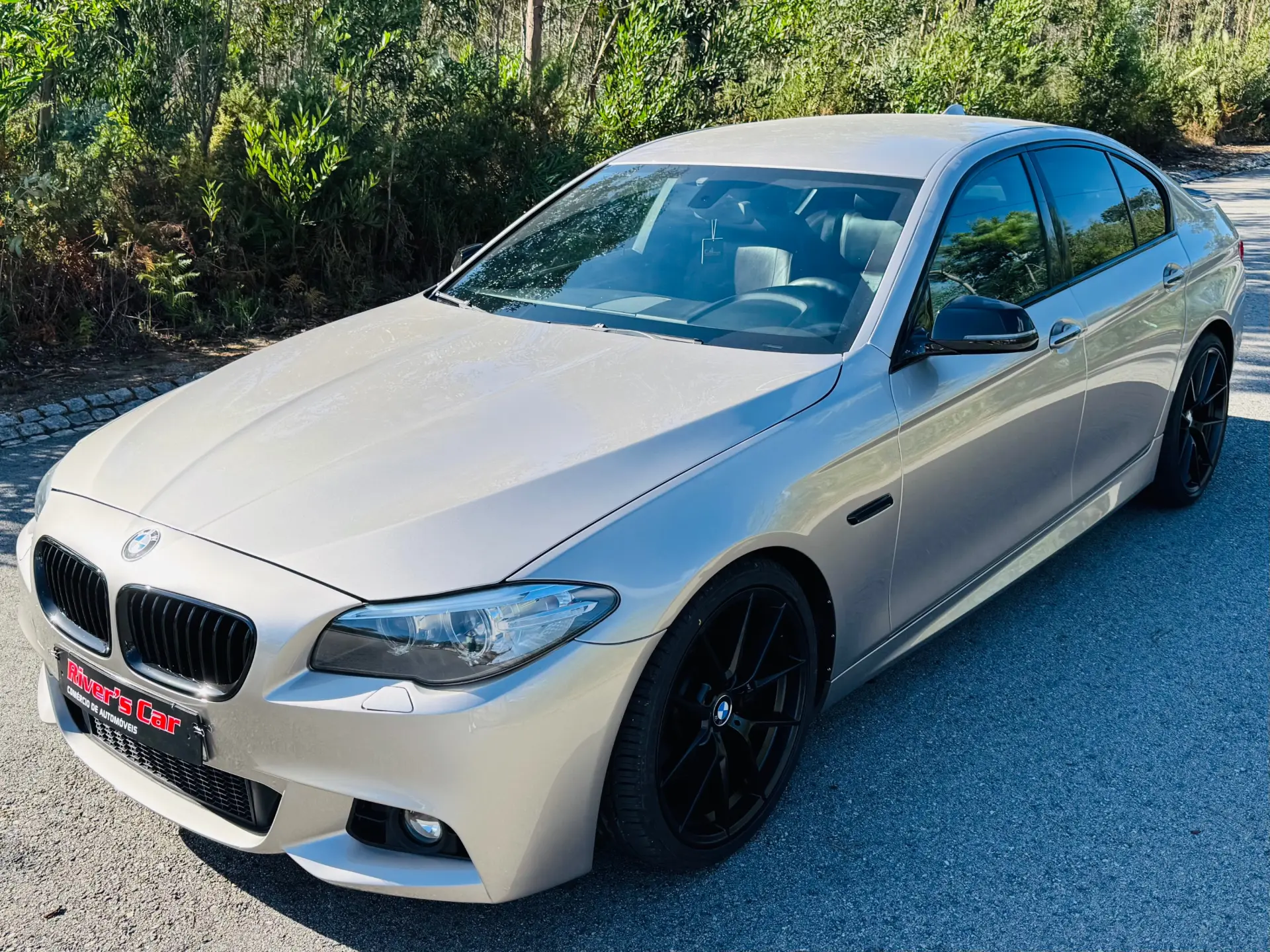 BMW 530 d Pack M Auto 2