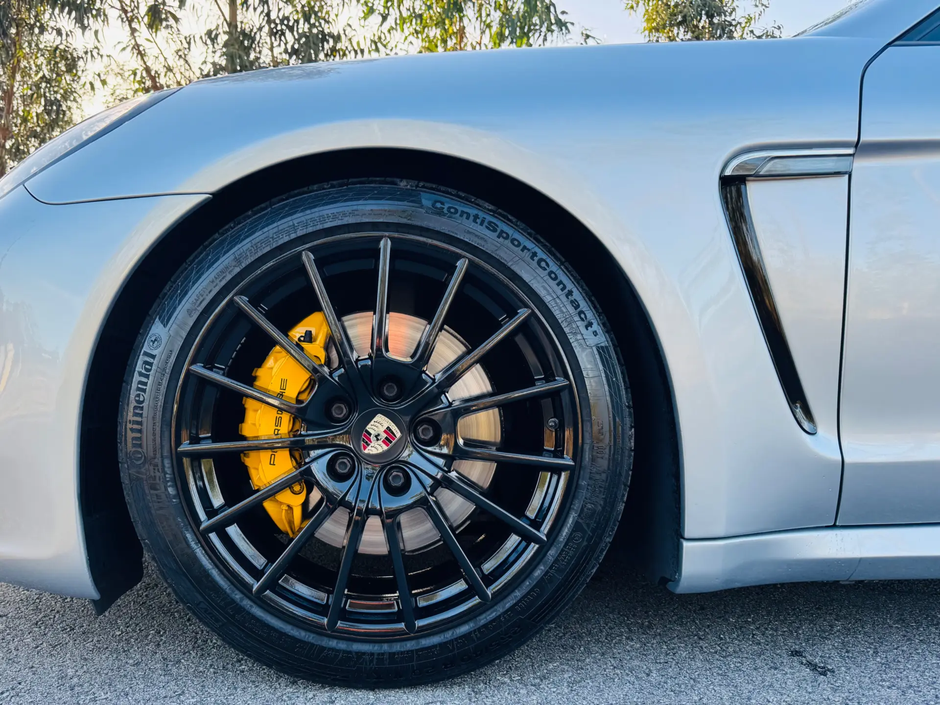 Porsche Panamera Platinum Edition 7