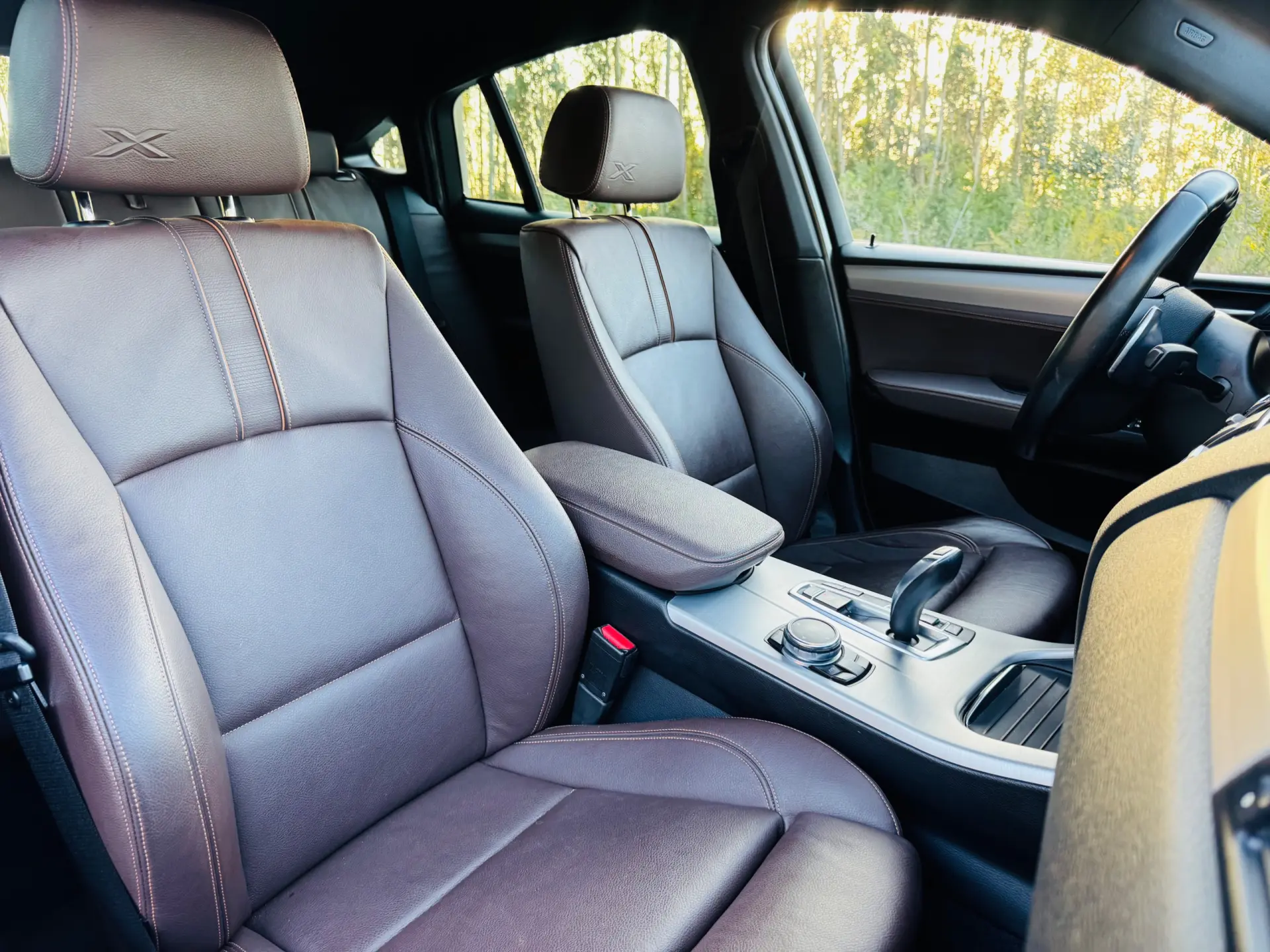 BMW X4 20 d xDrive xLine Pack M Auto 42