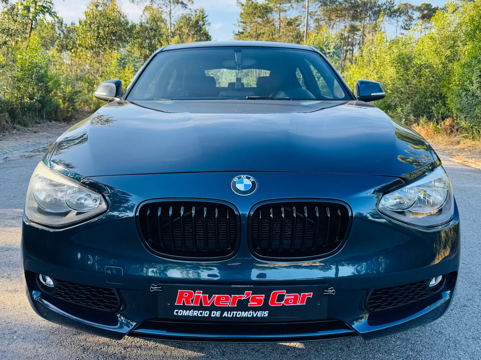 BMW 116 d Line Sport 4
