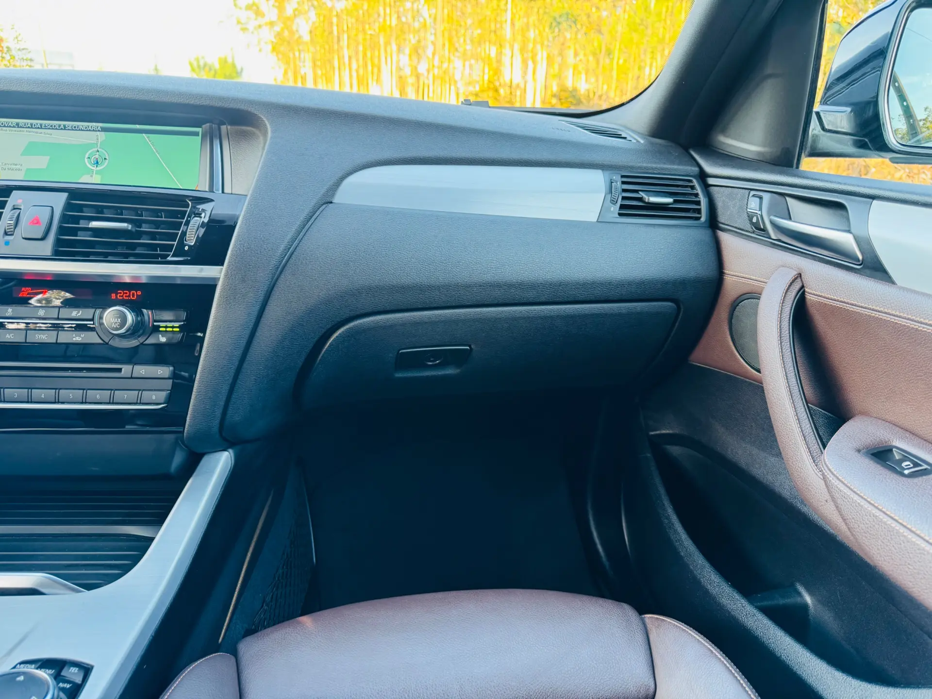 BMW X4 20 d xDrive xLine Pack M Auto 39