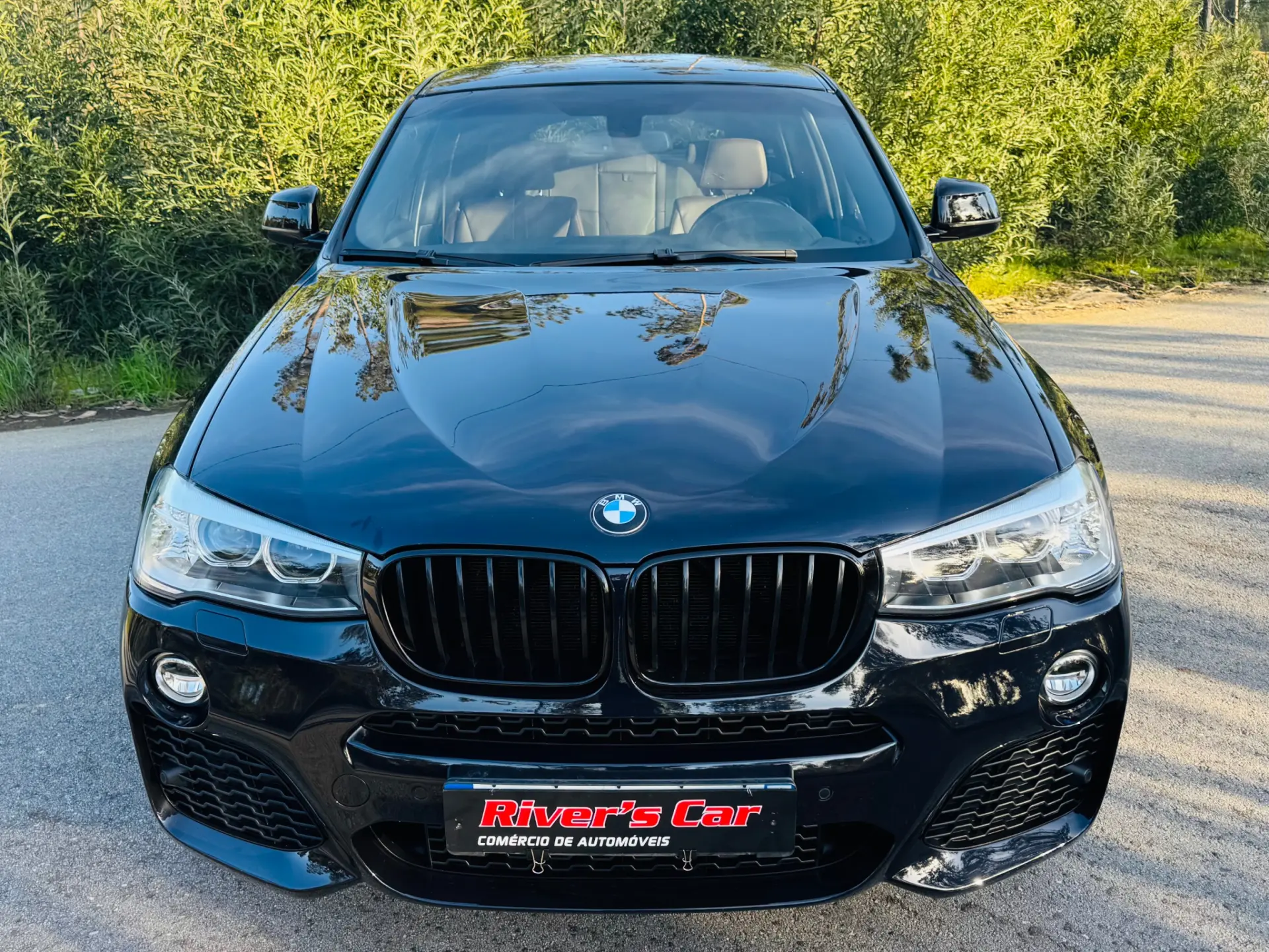 BMW X4 20 d xDrive xLine Pack M Auto 6