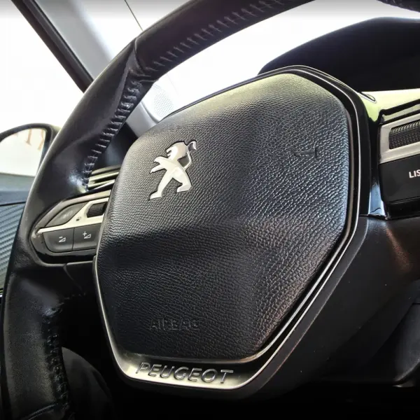 Peugeot 2008 PureTech 100 Active 19