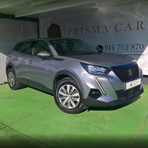 Peugeot 2008 PureTech 100 Active 1