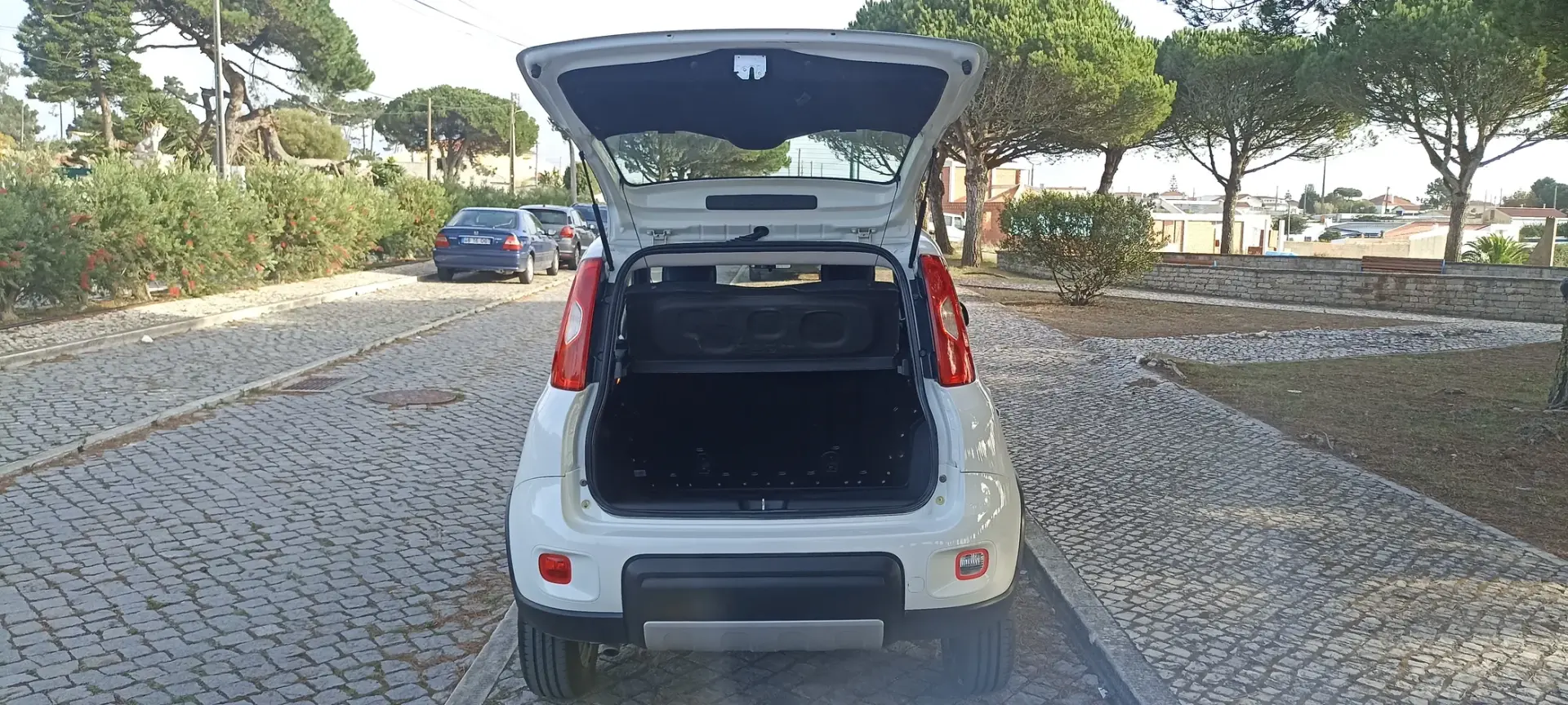 Fiat Panda 0.9 8V TwinAir Cross 4x4 S&S 12