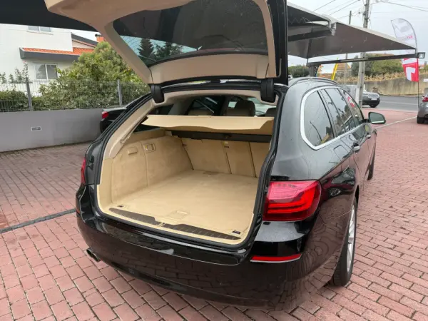 BMW 520 d Line Luxury 14