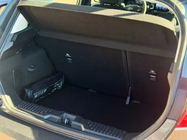 Ford Fiesta 1.0 EcoBoost Active 15