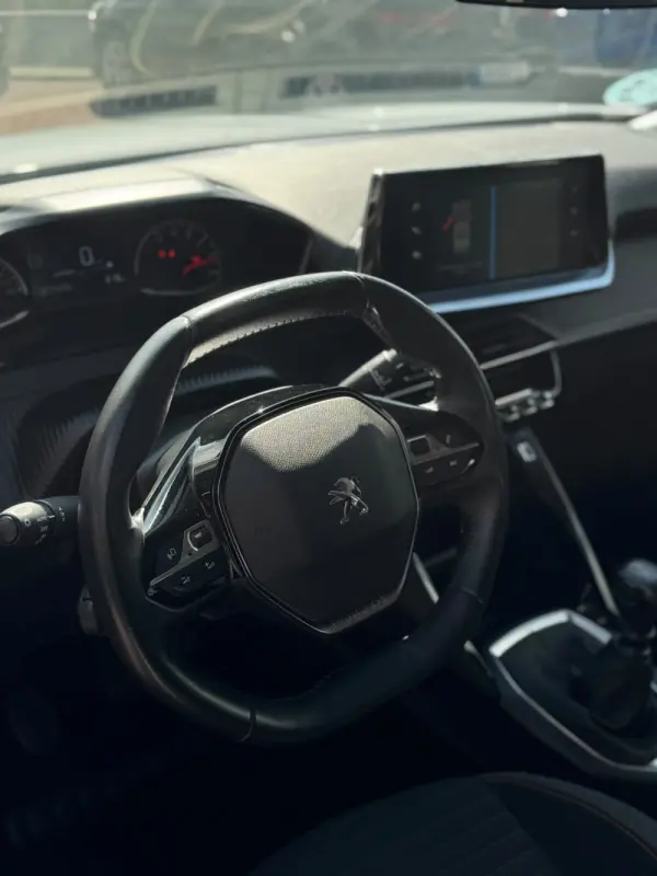 Peugeot 2008 1.5 BlueHDi Active Pack 14