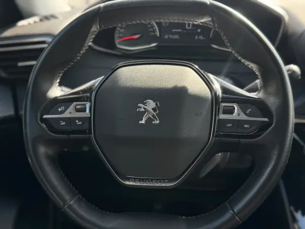 Peugeot 2008 1.5 BlueHDi Active Pack 15
