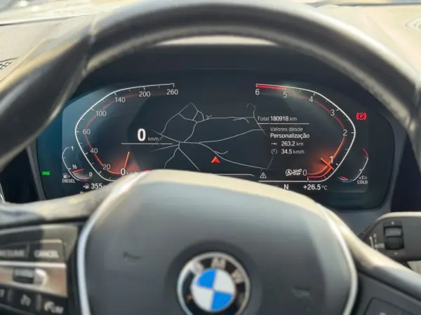 BMW 318 d Line Luxury 14