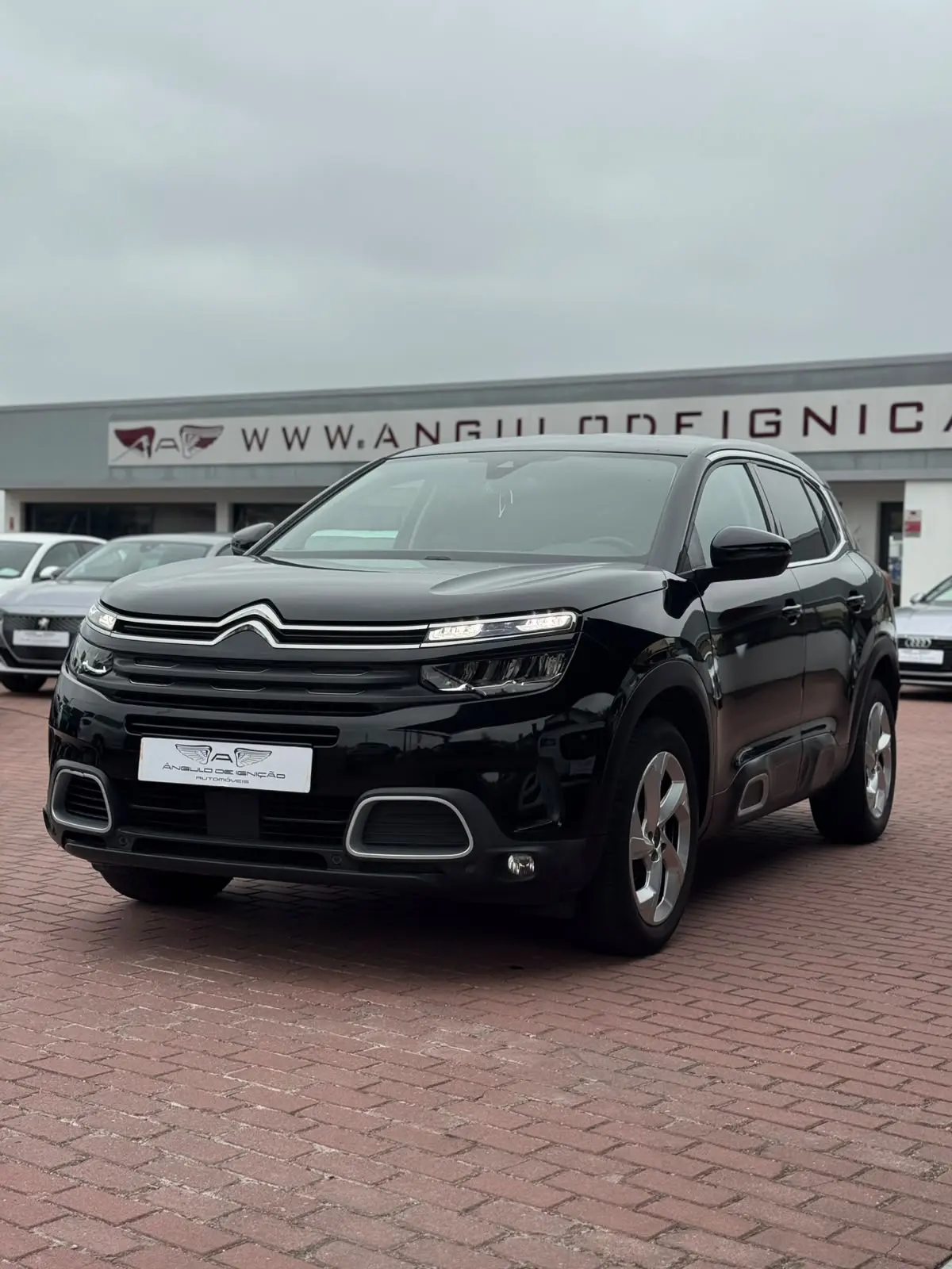 Citroen C5 Aircross BlueHDI 130 S&S EAT8 MAX 1