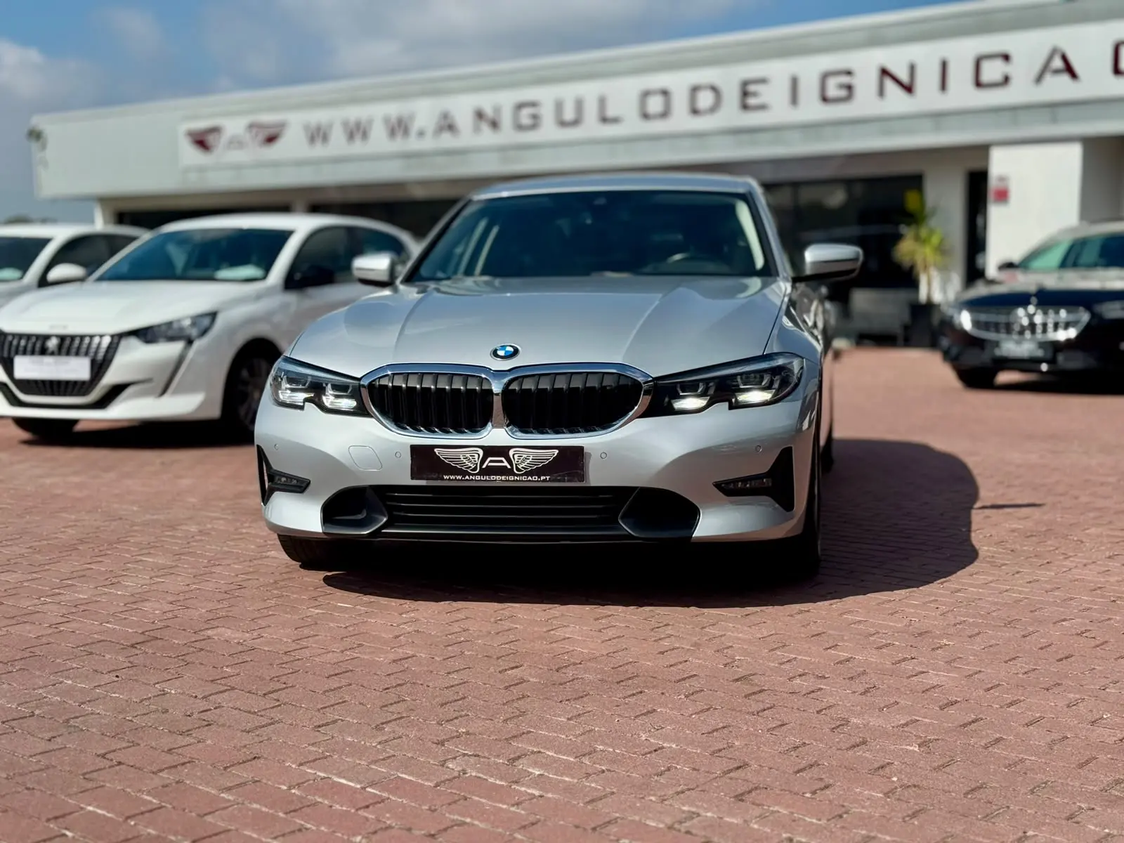 BMW 318 d Line Luxury 3
