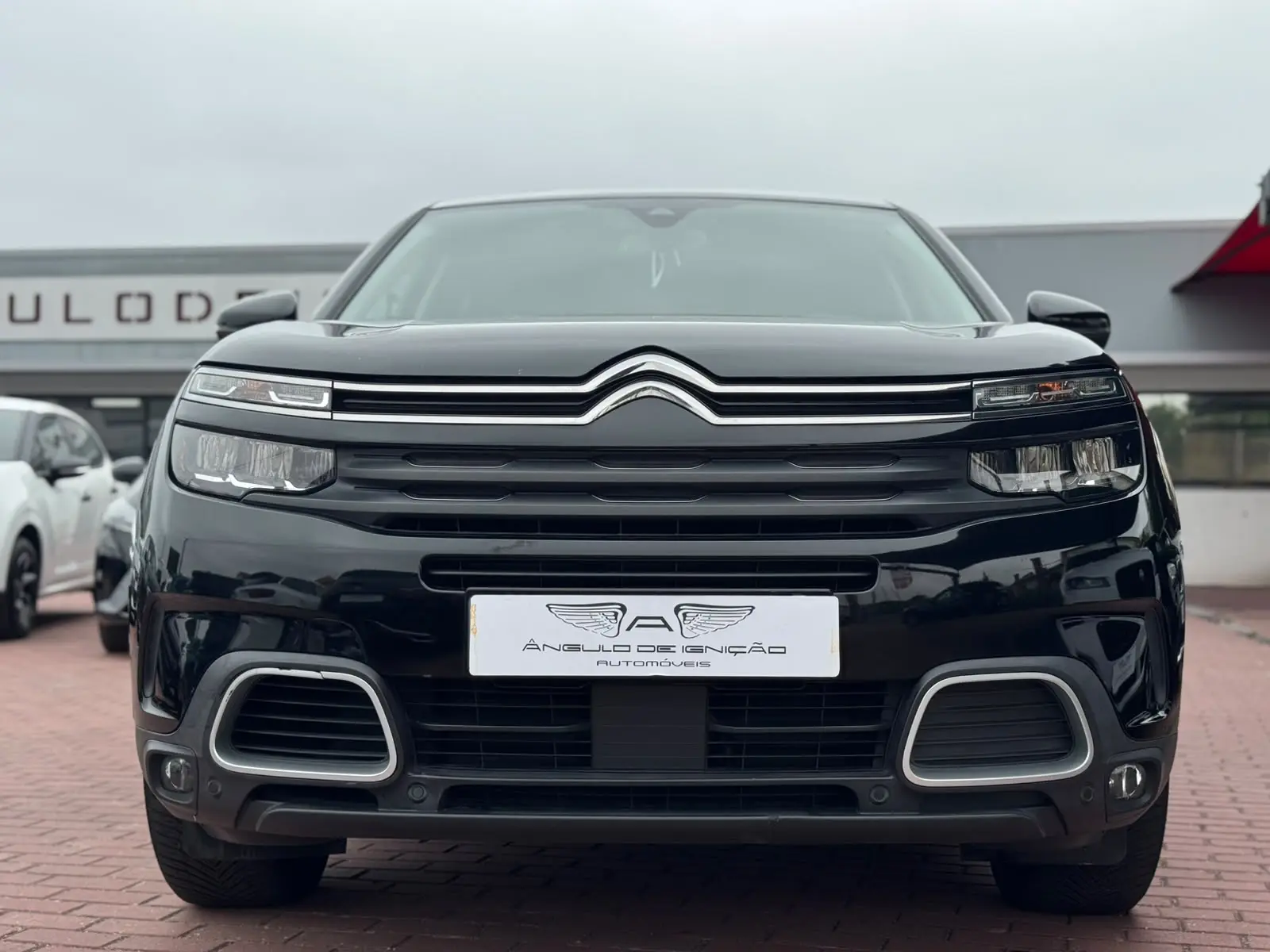 Citroen C5 Aircross BlueHDI 130 S&S EAT8 MAX 5