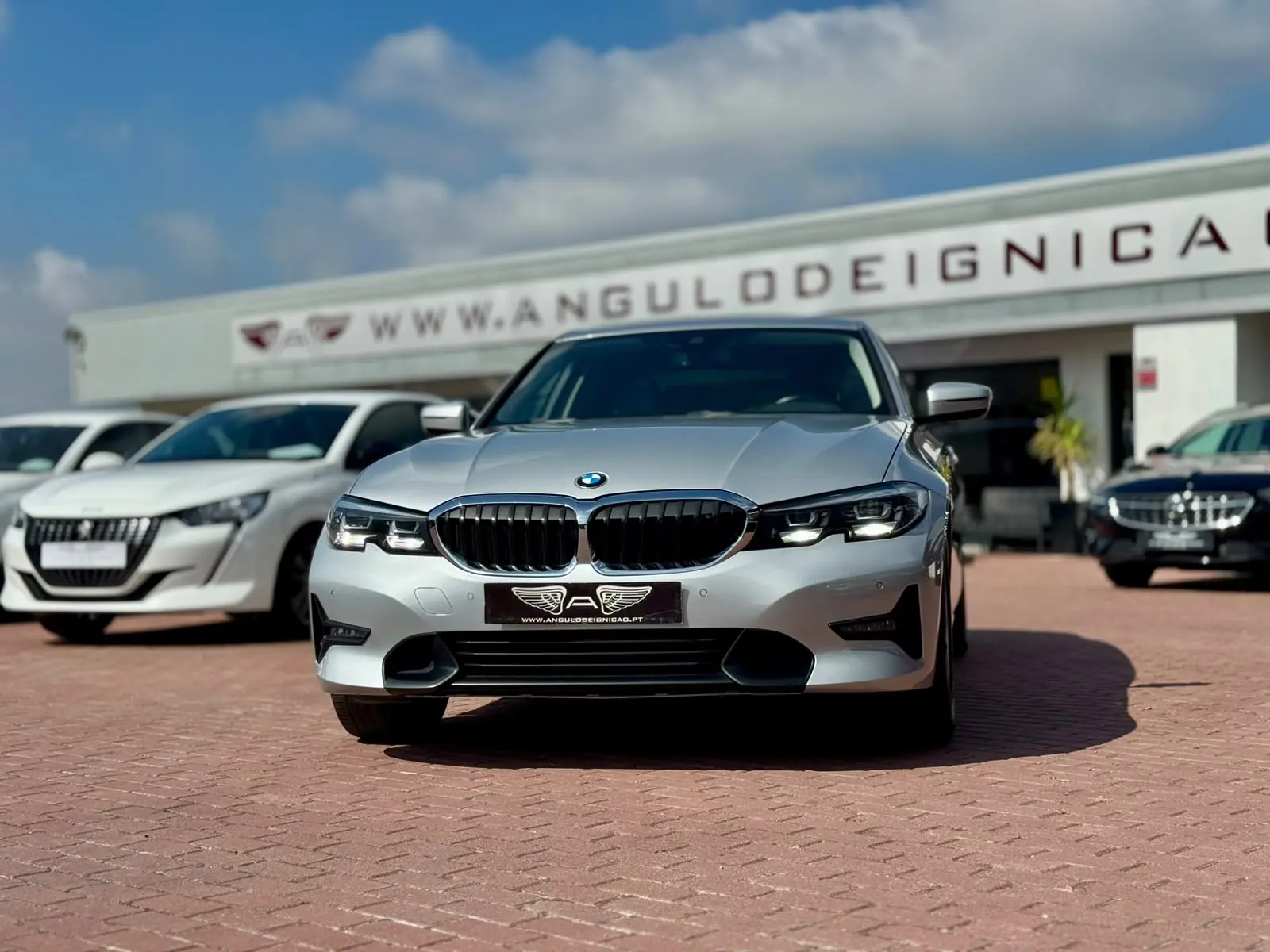 BMW 318 d Line Luxury 1