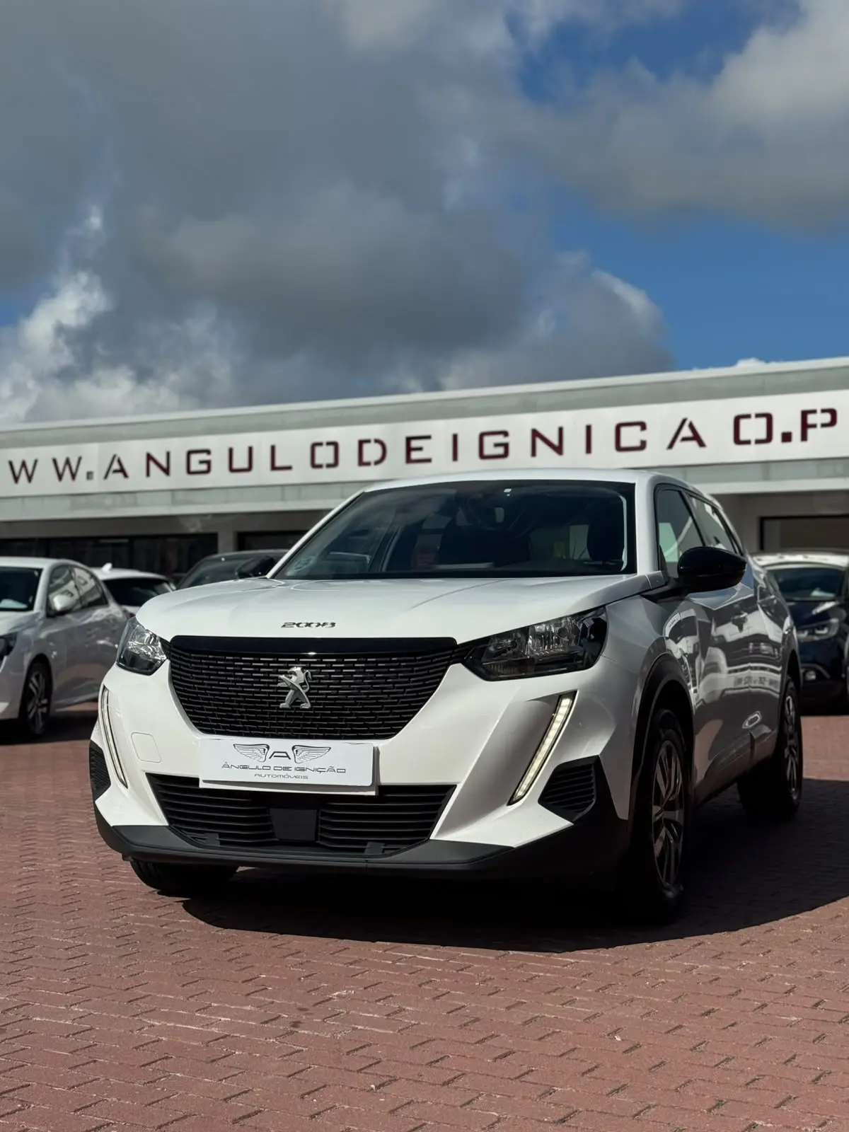 Peugeot 2008 1.5 BlueHDi Active Pack 9