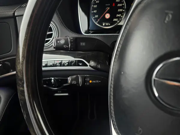 Mercedes-Benz S 350 d 4Matic 9G-TRONIC 19