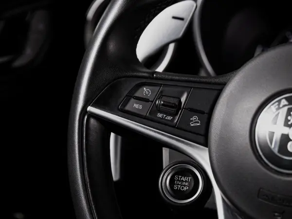Alfa Romeo Stelvio 2.2 16V AT8-Q4 Super 21