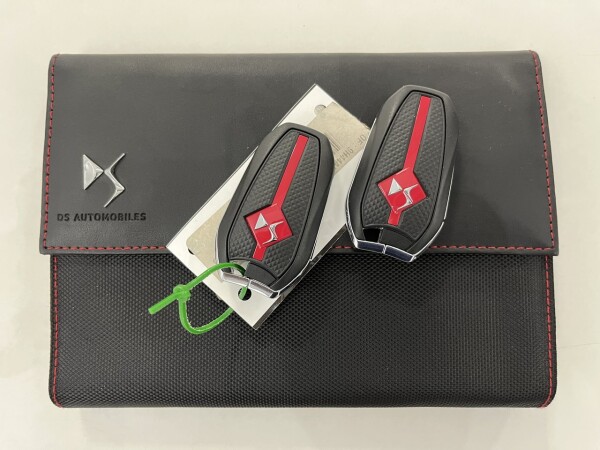 DS DS7 Crossback null 2