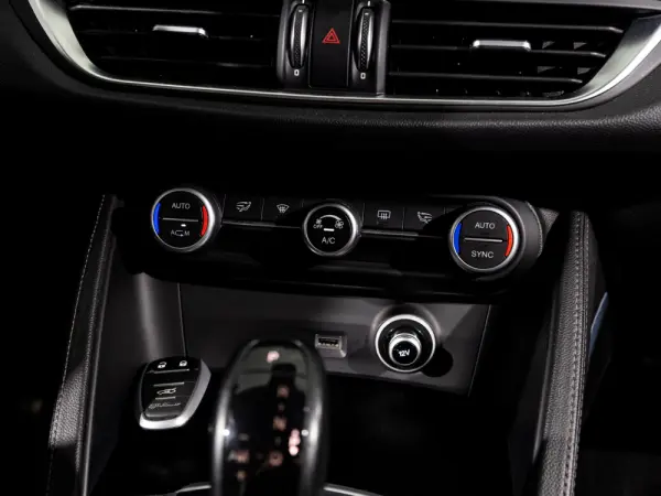 Alfa Romeo Stelvio 2.2 16V AT8-Q4 Super 19